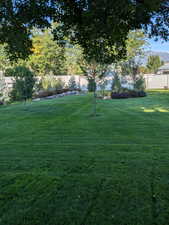 View of fenced yard in the summer
