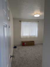Spare room with a textured ceiling and carpet flooring