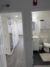 Bathroom featuring vanity and dark wood-style flooring