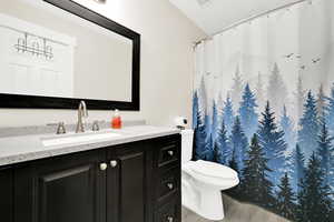 Bathroom featuring vanity, a shower with curtain, and light wood finished floors