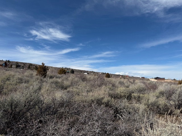 View of undeveloped land featuring rural landscape