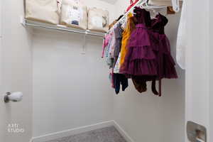 Walk in closet featuring carpet floors