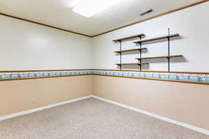 Empty room with carpet flooring, crown molding, and a textured ceiling