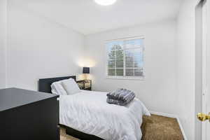 Bedroom featuring carpet floors and baseboards