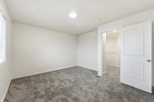 bedroom with New paint ,carpet flooring and lighting