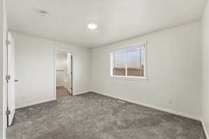 bedroom with New paint ,carpet flooring and lighting