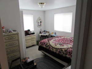 Bedroom with carpet floors