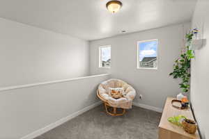 Sitting room featuring carpet flooring and baseboards