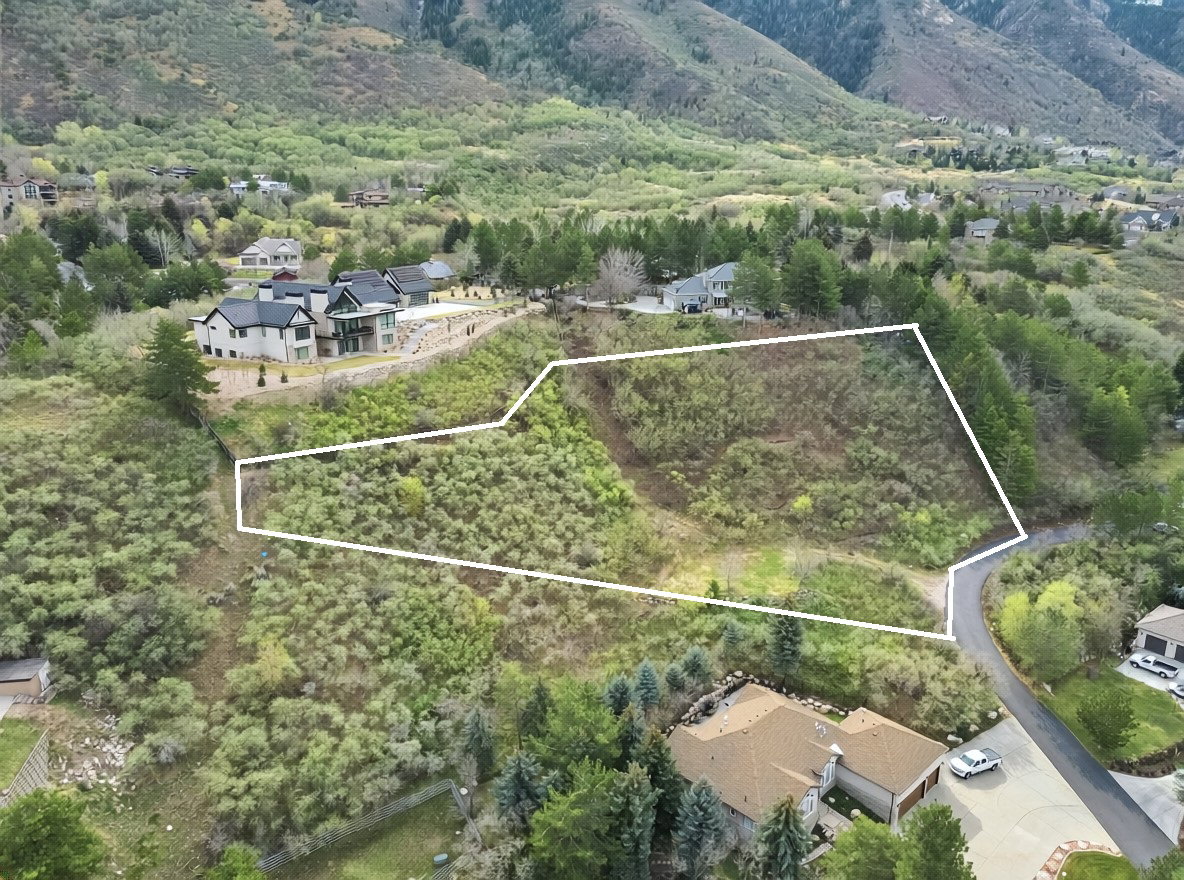 Aerial overview of property's location with property parcel outlined and a mountain backdrop