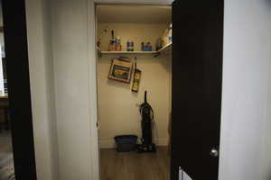 View of storage closet.