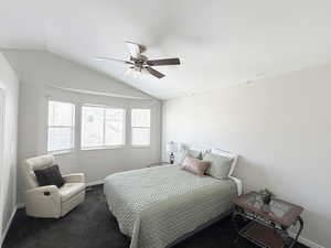 Carpeted bedroom featuring vaulted ceiling and ceiling fan - VERY LARGE