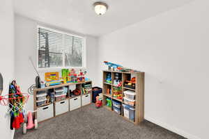 Basement bedroom with full daylight