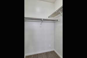 Walk in closet featuring carpet floors