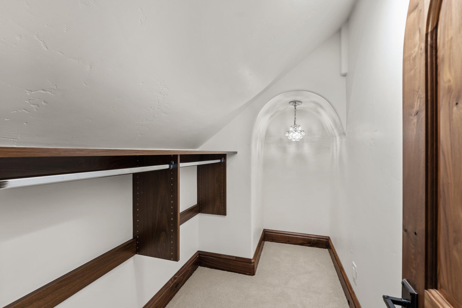 Walk in closet featuring vaulted ceiling, light carpet, and hanging lights
