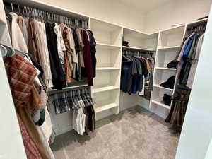 Walk in closet with light carpet