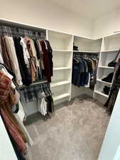 Walk in closet with light colored carpet