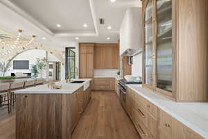 Kitchen with glass insert cabinets, dark wood-type flooring, range with two ovens, recessed lighting, and modern cabinets