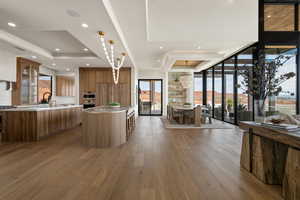 Kitchen with glass insert cabinets, a kitchen island, healthy amount of natural light, dark wood-type flooring, and a raised ceiling