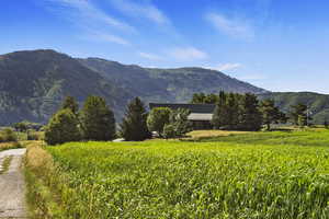 Mountain view with rural landscape