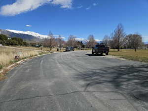 View of the end of property road.