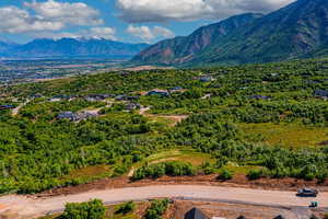 View of mountain background