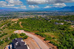 Aerial view of a mountain backdrop and a heavily wooded area
