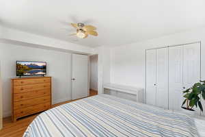 Bedroom featuring ceiling fan, a closet, and wood finished floors