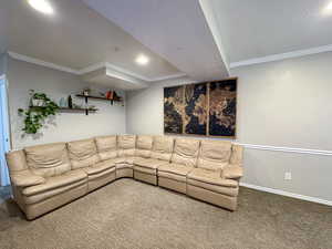 Carpeted living area with crown molding and a textured ceiling