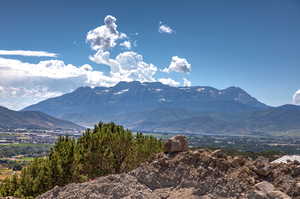 View of mountain background