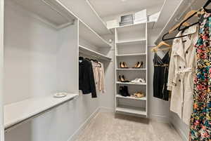 Walk in closet featuring light carpet