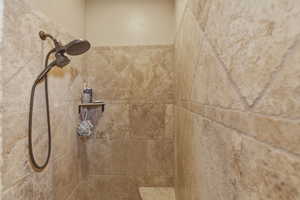 Bathroom view of a tile shower