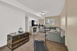 Exercise area featuring carpet floors