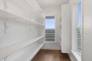 Walk in closet featuring dark wood-style floors