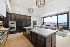 Kitchen featuring a mountain view, dark wood finish cabinets, light wood-style floors, and stainless steel appliances
