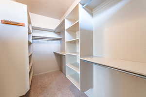 Walk in closet with light carpet