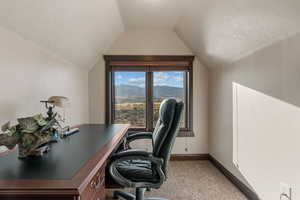 Office featuring a textured ceiling, light colored carpet, and a mountain view