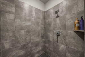 Bathroom view of a tile shower