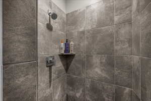 Bathroom view of a tile shower