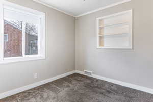 Spare room featuring built in features, ornamental molding, wooden walls, and dark colored carpet