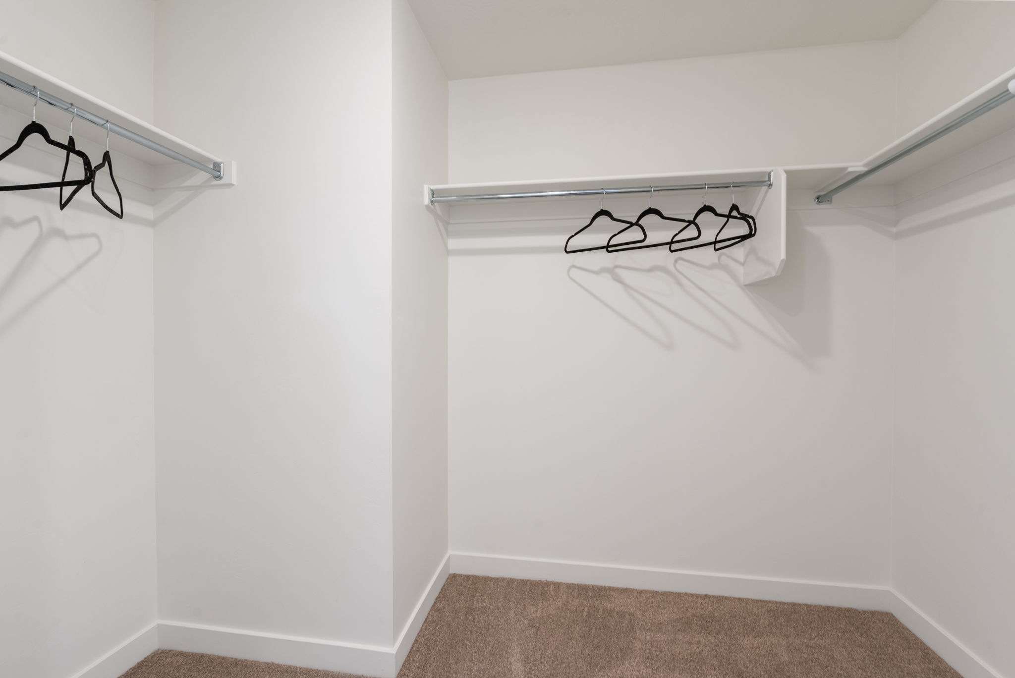 Walk in closet with carpet floors