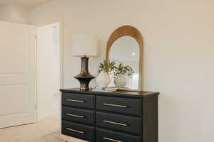 Detailed view of carpet flooring