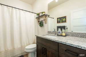 Full bathroom with vanity and a shower with curtain