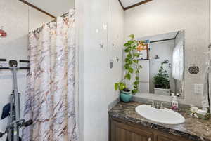 Bathroom featuring vanity and a shower with curtain