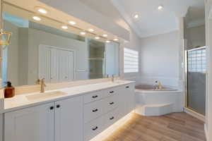 Brand New Primary Suite Bath. No expense spared! Soaker Tub, Walking Shower, Walk-in Closet