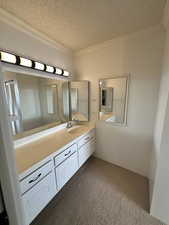 Primary bathroom with vanity, light colored carpet, a textured ceiling, and crown molding