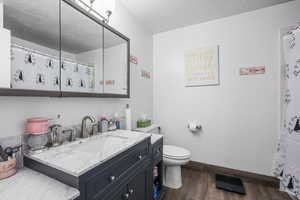 Bathroom featuring vanity, a shower with curtain, a textured ceiling, and dark wood-style floors