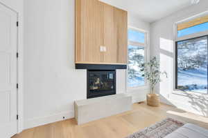 Living room featuring a glass covered fireplace and wood-type flooring