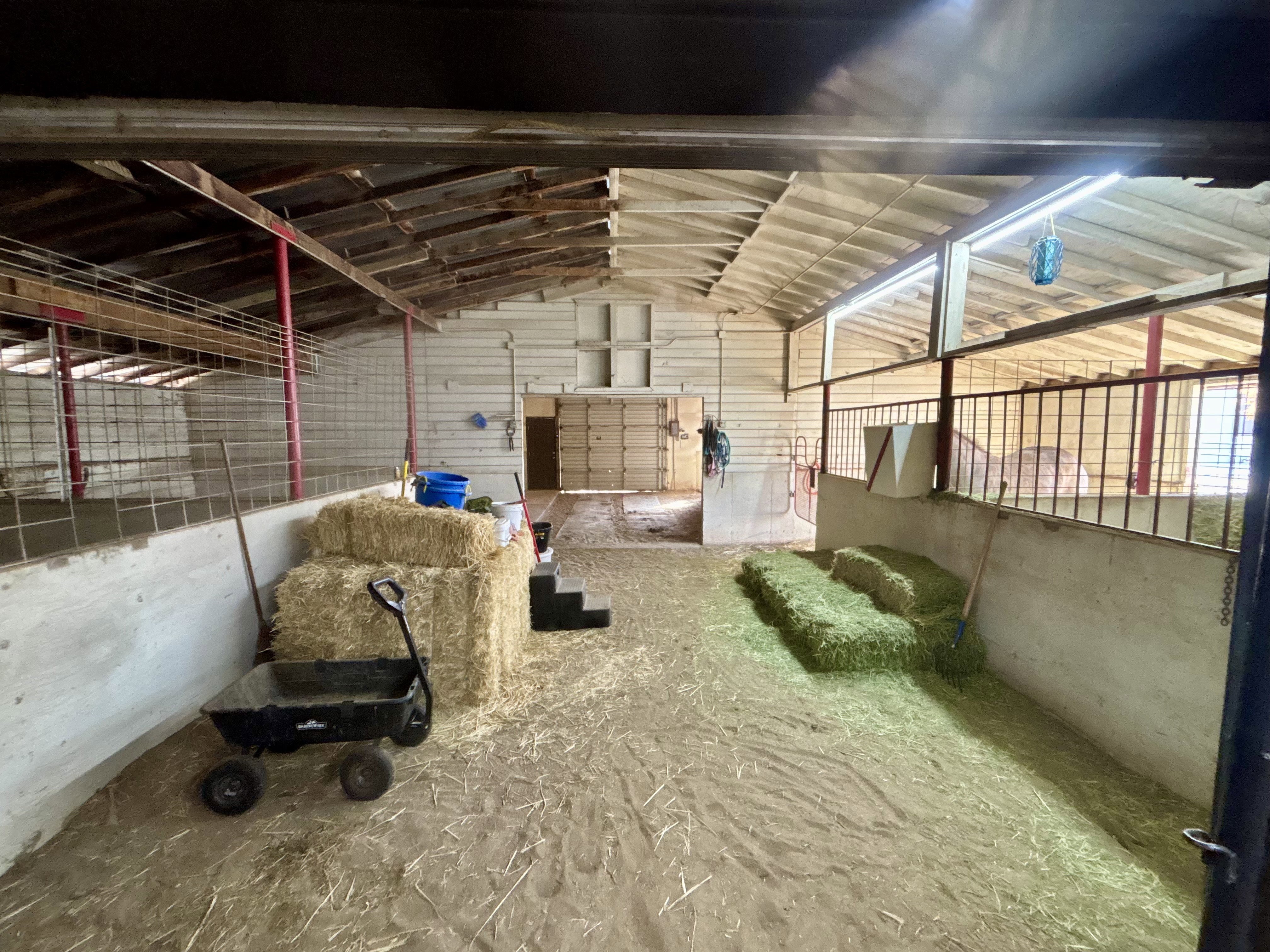 View of horse barn