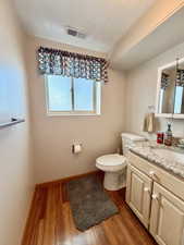 Bathroom featuring vanity, dark wood finished floors, and a textured ceiling