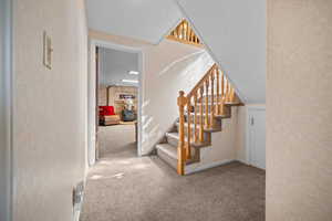 Stairs featuring carpet